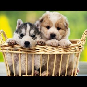 Meet your Posher, Annmarie